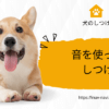 犬　しつけ　音